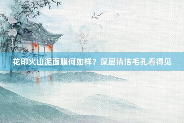 花印火山泥面膜何如样？深层清洁毛孔看得见