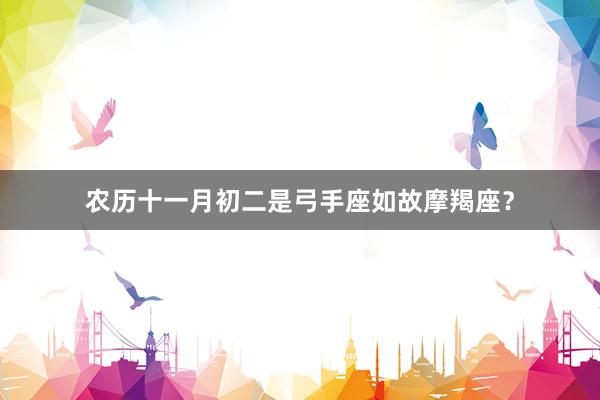 农历十一月初二是弓手座如故摩羯座？