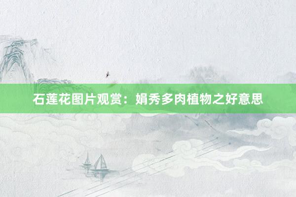 石莲花图片观赏：娟秀多肉植物之好意思