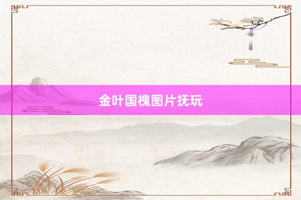 金叶国槐图片抚玩