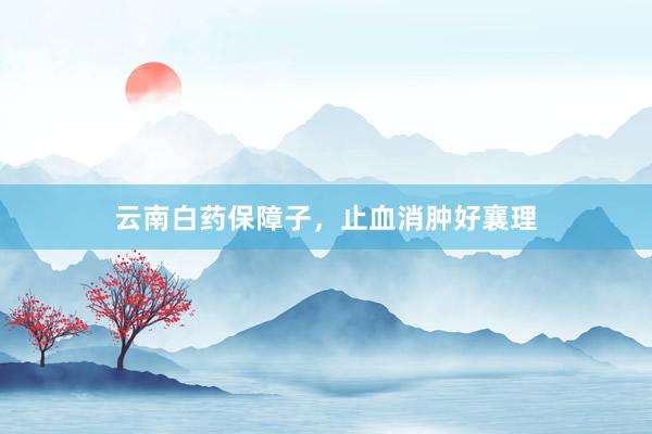 云南白药保障子，止血消肿好襄理