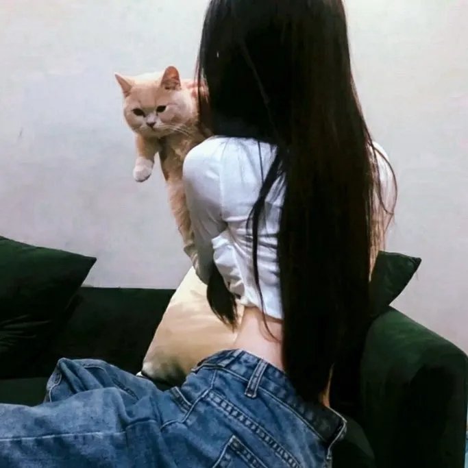 左撇子女人 海报