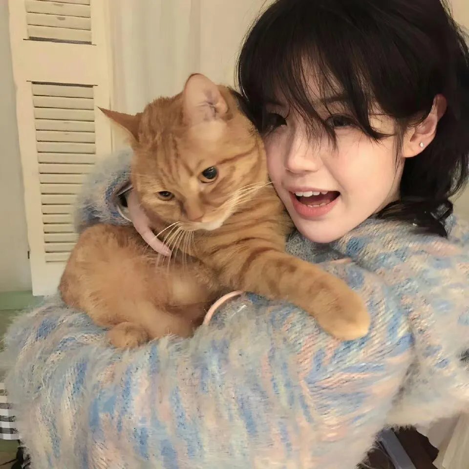 又是一年除夕夜